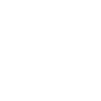 Team Size TEAM SIZE
