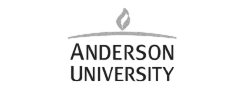 ANDESON UNIVERSITY 1