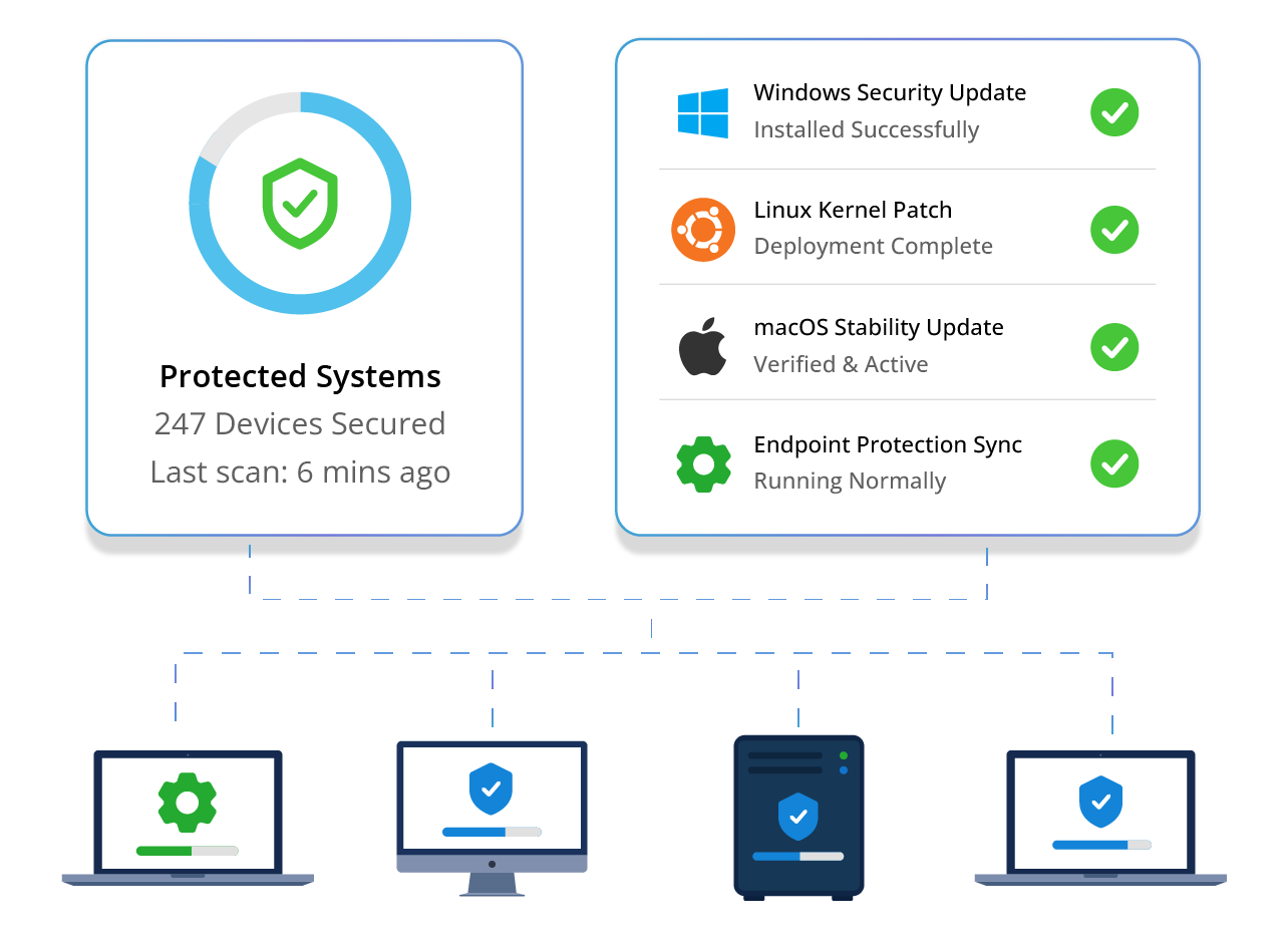Patch management software