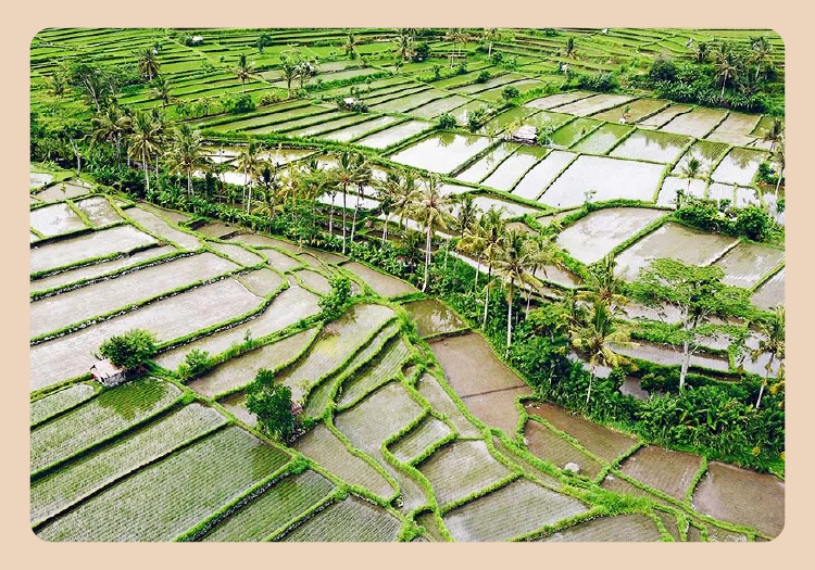 Case Study - Ministry of Agrarian Affairs and Spatial Planning