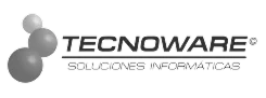 Techoware 1